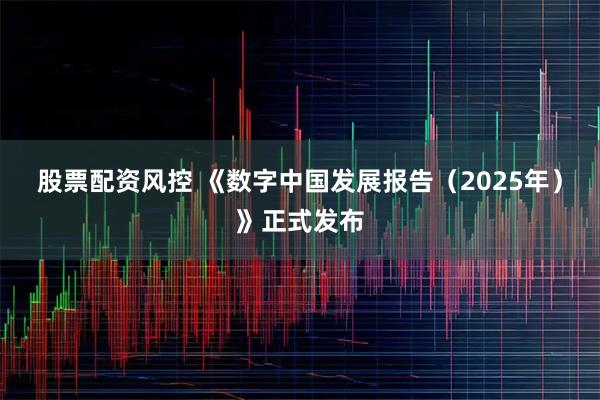 股票配资风控 《数字中国发展报告（2025年）》正式发布